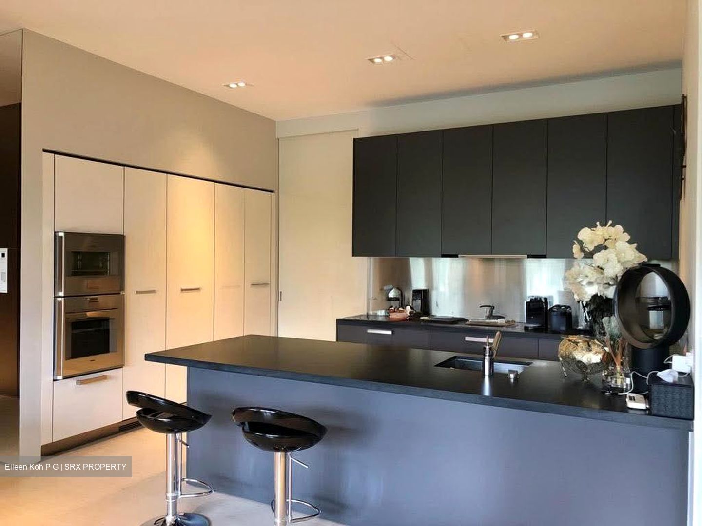 8 Napier (D10), Condominium #585213091